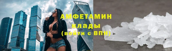прущие грибы Верея
