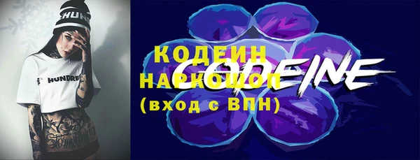 прущие грибы Верея