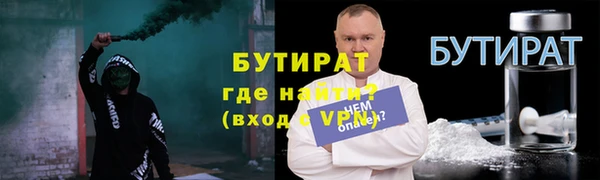 прущие грибы Верея