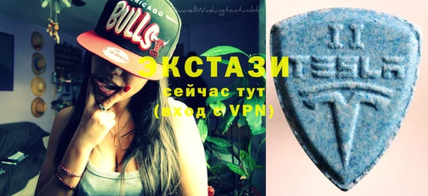 прущие грибы Верея