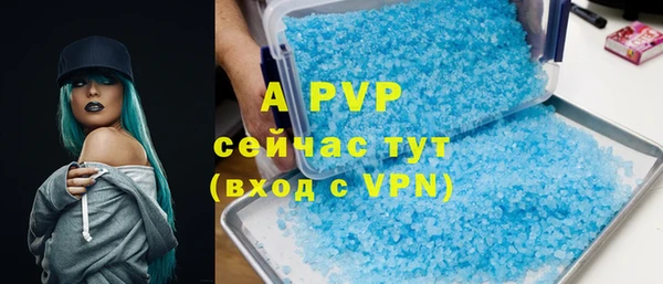 прущие грибы Верея